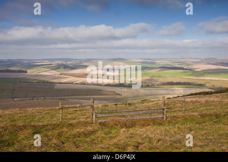 Le dolci colline del South Downs National Park vicino a Brighton, Sussex England, Regno Unito, Europa Foto Stock