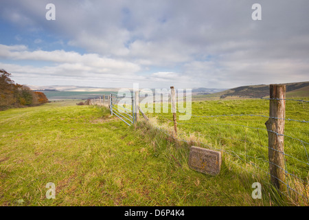 Le dolci colline del South Downs National Park vicino a Brighton, Sussex England, Regno Unito, Europa Foto Stock