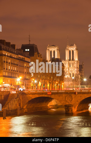 L'Ile de la Cité e dalla cattedrale di Notre Dame di notte, Parigi, Francia, Europa Foto Stock