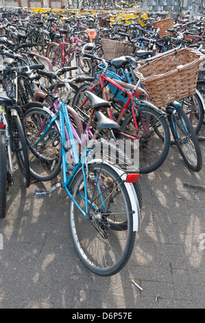 Le biciclette parcheggiate nel parcheggio del ciclo esterno Cambridge Stazione ferroviaria Cambridge Regno Unito Foto Stock