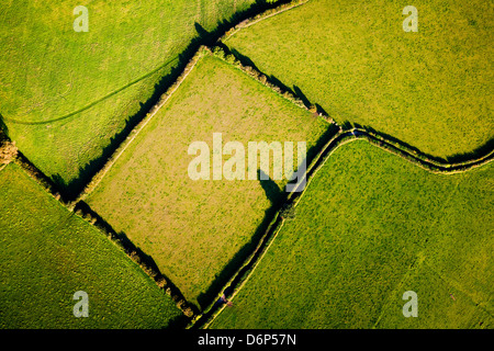 Vista aerea mostra linee geometriche e forme realizzati dai confini del campo nella campagna britannica. Foto Stock