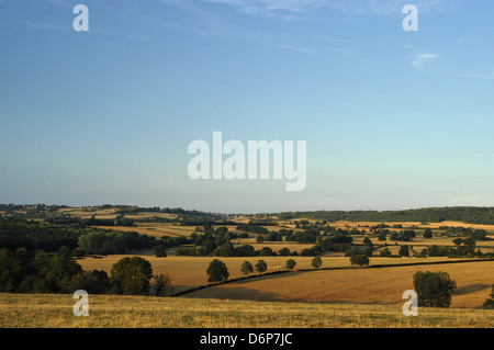Francia, Borgogna, vicino a Beaune (in agosto) pacifica e armoniosa, Frankreich, Burgund, nahe Beaune (im) Agosto friedlich, Harmonie Foto Stock