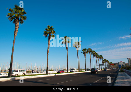 Avenida de Canarias mare street Las Palmas di Gran Canaria Isole Canarie Spagna Europa Foto Stock