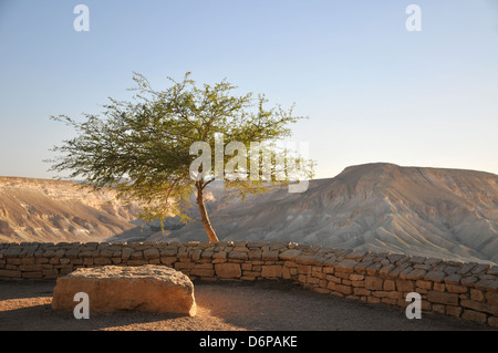 Israele Negev, Kibbutz Sde Boker guardando fuori verso Ein Ovdat e il Wadi Zin valley Foto Stock