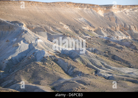Israele Negev, Kibbutz Sde Boker guardando fuori verso Ein Ovdat e il Wadi Zin valley Foto Stock