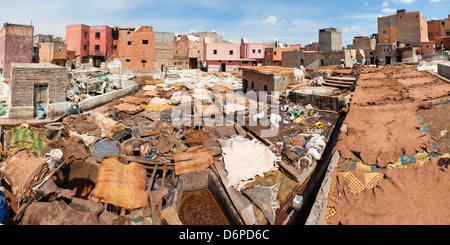 La conceria nella vecchia Medina, Marrakech, Marocco, Africa Settentrionale, Africa Foto Stock