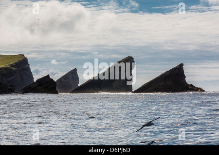 Formazione rocciosa conosciuta come Gada nello stack su Foula Isola, Shetland Scozia, Regno Unito, Europa Foto Stock