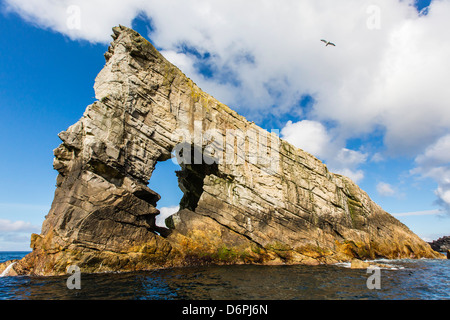 Formazione rocciosa conosciuta come Gada nello stack su Foula Isola, Shetland Scozia, Regno Unito, Europa Foto Stock