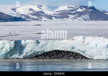 Negribreen (Negri Glacier), Olav V Land, Spitsbergen, arcipelago delle Svalbard, Norvegia, Scandinavia, Europa Foto Stock