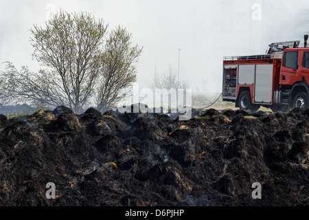 Grigio e Nero e residui di erba dopo wildfire. Foto Stock