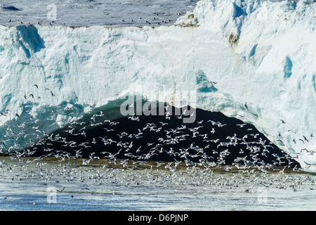 Negribreen (Negri Glacier), Olav V Land, Spitsbergen, arcipelago delle Svalbard, Norvegia, Scandinavia, Europa Foto Stock