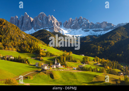 Santa Maddalena in Val di Funes, Trentino Alto Adige, Dolomiti, Alto Adige, Italia, Europa Foto Stock