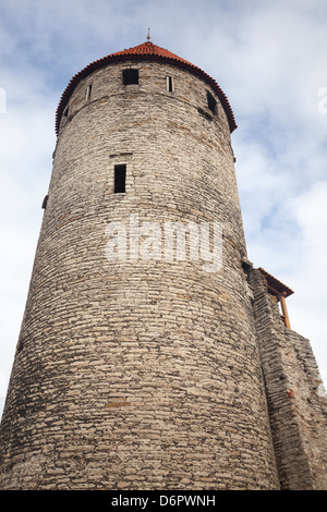 Tall antica torre in pietra. Vecchia Fortezza di Tallinn, Estonia Foto Stock