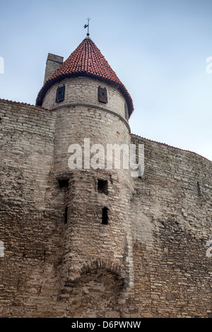 Antica fortezza di pietra di un frammento. Vecchia Fortezza di Tallinn, Estonia Foto Stock
