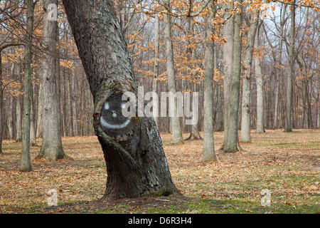 Mulini di Hudson, Michigan - un albero con una faccia felice in Hudson Mills Metropark. Foto Stock