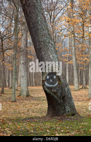 Mulini di Hudson, Michigan - un albero con una faccia felice in Hudson Mills Metropark. Foto Stock