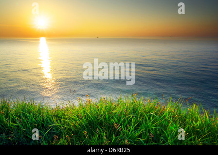 Sundown composizione. Cielo, mare e verde erba. Foto Stock