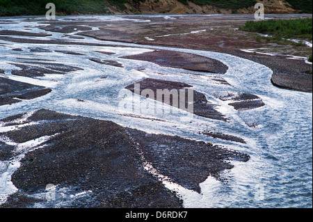 Crepuscolo skies riflettono in intrecciato forcella est del fiume Toklat, Parco Nazionale di Denali, Alaska, STATI UNITI D'AMERICA Foto Stock