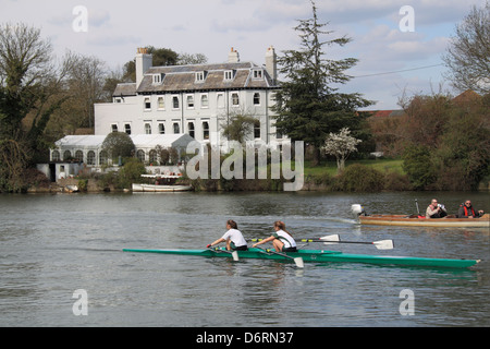 I giovani vogatori si allenano sul Tamigi, Sadlers Ride, Hurst Park, East Molesey, Surrey, Inghilterra, Gran Bretagna, Regno Unito, Regno Unito Foto Stock