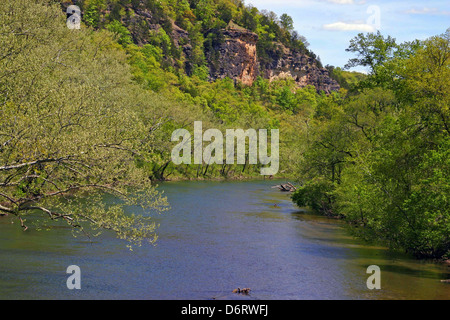 Fiume Gasconade Pulaski County MO Foto Stock