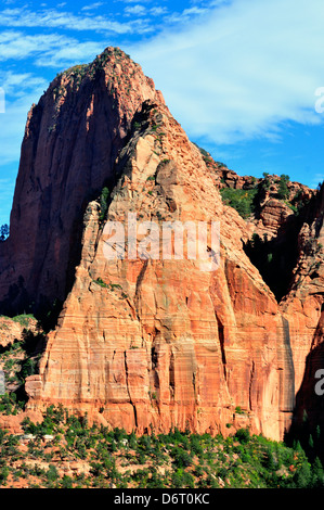 Esposta una ripida scogliera affacciata in Kolob Canyon presentano distinti strati di pietra arenaria, di fratturazione e di erosione Foto Stock