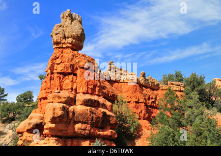 Hoodoos in rosso Canyon dello Utah Foto Stock