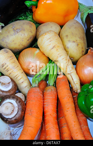 Selezione di verdure fresche compresi patate, carote, pastinaca, cipolla, capsicum e fungo. Foto Stock