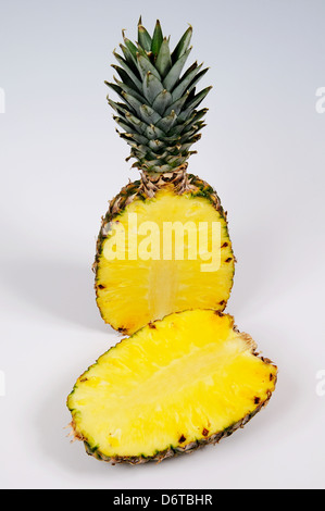 Ananas tagliato a metà longitudinalmente contro uno sfondo semplice. Foto Stock