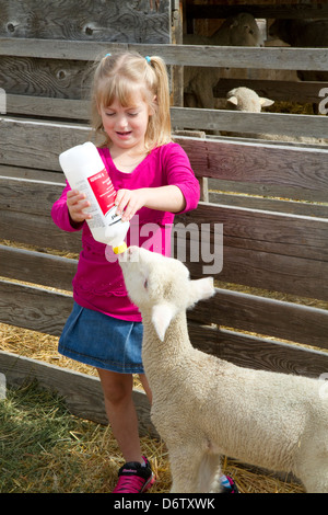 6 anno vecchia ragazza biberon agnelli su una pecora ranch vicino a Emmett, Idaho, Stati Uniti d'America. Signor Foto Stock