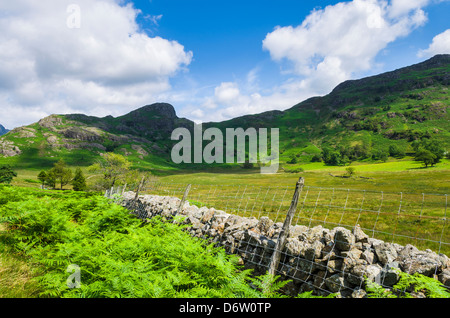 Asciugare la parete in pietra nel Lake District inglese con il lato Pike nella distanza. Cumbria, Inghilterra. Foto Stock