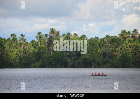 La foresta pluviale amazzonica, fiume e treeline Foto Stock