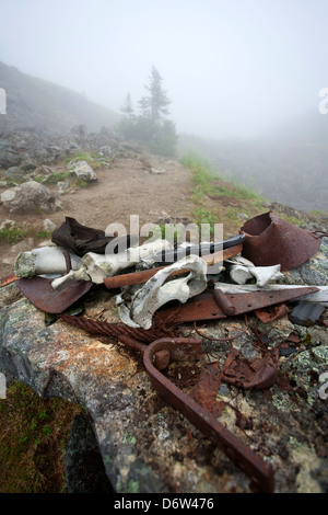 Vecchi manufatti. Chilkoot Trail. Klondike Gold Rush National Historical Park. Alaska,. Stati Uniti d'America Foto Stock