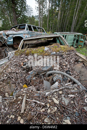 Il cimitero di auto.Alaska. Stati Uniti d'America Foto Stock