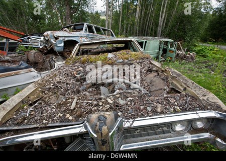 Il cimitero di auto.Alaska. Stati Uniti d'America Foto Stock
