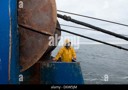 Pescatore tira indietro dragger net sulla pesca a strascico. Stellwagen banche, New England, Stati Uniti, Oceano Atlantico settentrionale Foto Stock