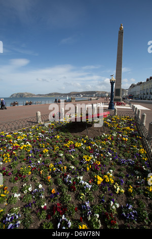 La città di Llandudno, Galles. Il pittoresco primavera soleggiata vista della promenade a Llandudno North Shore. Foto Stock