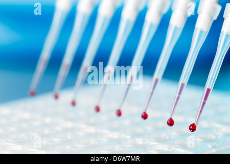 Pipetta multicanale e multipozzetto piastra eppendorf Foto Stock