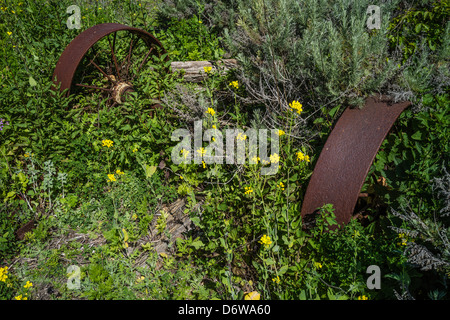 Un arrugginiti e deteriorata dell'assale del trattore e due ruote sedersi tra fiori gialli e arbusti sul terreno ad una fattoria abbandonata. Foto Stock