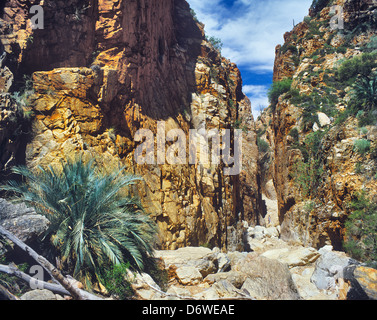 Australia, Territorio del Nord, Standley Chasm nella Catena Montuosa di MacDonnell Foto Stock