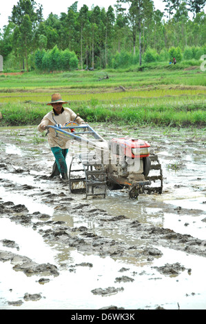 Thailandia Nong Bua Lamphu, riso agricoltore utilizzando gas powered Rot Thai Nah aratro per preparare il campo allagato Foto Stock