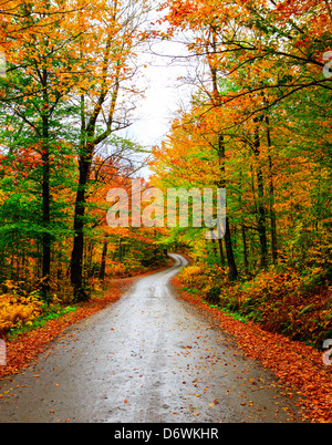 La strada attraverso il New Hampshire montagne in autunno. Foto Stock