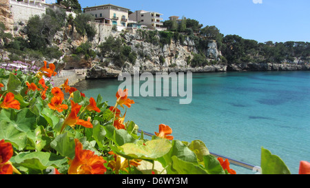 Porto Cristo a nord-est di Maiorca maiorca cala millor spagna area Europa Foto Stock