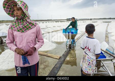 Aprile 24, 2013 - Samut Songkhram, Thailandia - Lavoratori in un campo vicino a Samut Songkhram. Il 2013 sale raccolto in Thailandia e Cambogia è stata influenzata da unseasonably piogge pesanti. Normalmente, il sale i campi sono pronto a dicembre, gennaio e febbraio, quando sono livellati e allagato con acqua di mare. Questo anno unseasonal piogge hanno un accesso limitato ai campi riducendo la quantità di sale disponibili. (Credito Immagine: © Jack Kurtz/ZUMAPRESS.com) Foto Stock