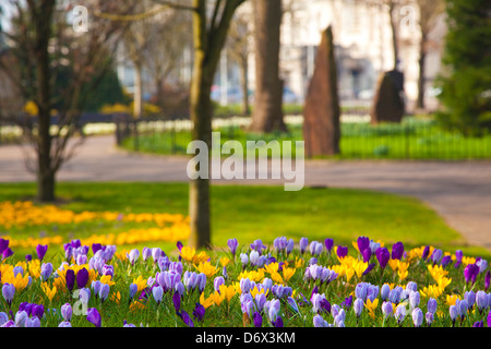 City Hall, Civic Center, Gorsedd Gardens, Cardiff Wales, Regno Unito Foto Stock