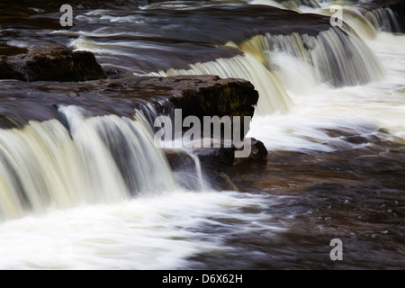 Forza Redmire sul Fiume Ure Wensleydale Yorkshire Dales Inghilterra Foto Stock