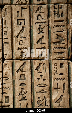 La galleria egiziano nel Metropolitan Museum of Art, (met) New York City USA Foto Stock