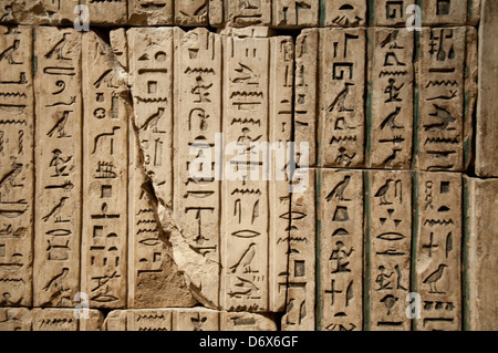 La galleria egiziano nel Metropolitan Museum of Art, (met) New York City USA Foto Stock