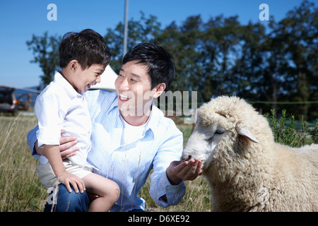 Padre e figlio alimentando una pecora in una fattoria Foto Stock