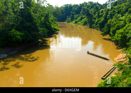 Fiume amazzonico, il marrone di acqua con sedimenti, il rio Tiputini in Ecuador. Con piroga indiano canoe in primo piano. Foto Stock