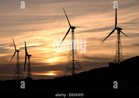 Centrale eolica, Tarifa, Cadice-provincia, regione dell'Andalusia, Spagna Foto Stock